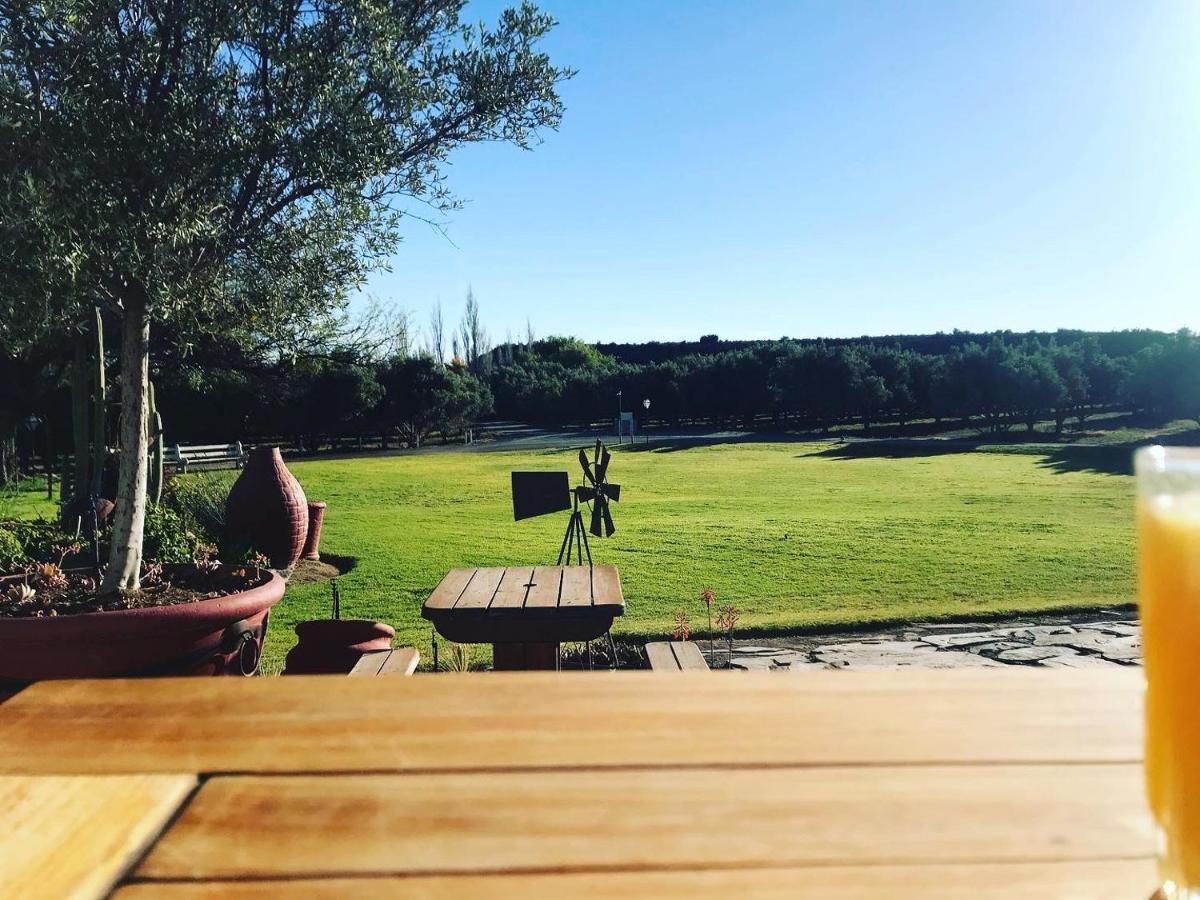Villa Olive Grove Guest Farm à Beaufort West Extérieur photo