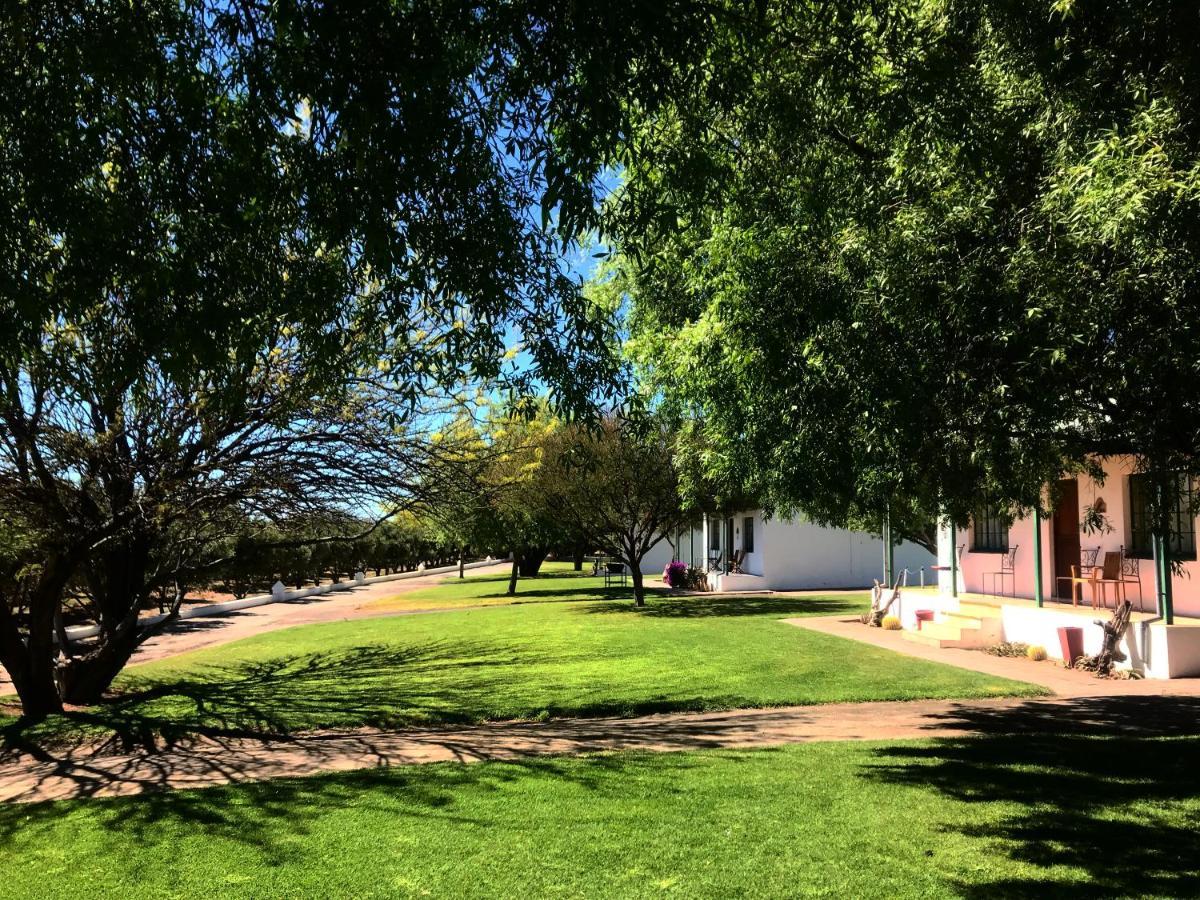 Villa Olive Grove Guest Farm à Beaufort West Extérieur photo