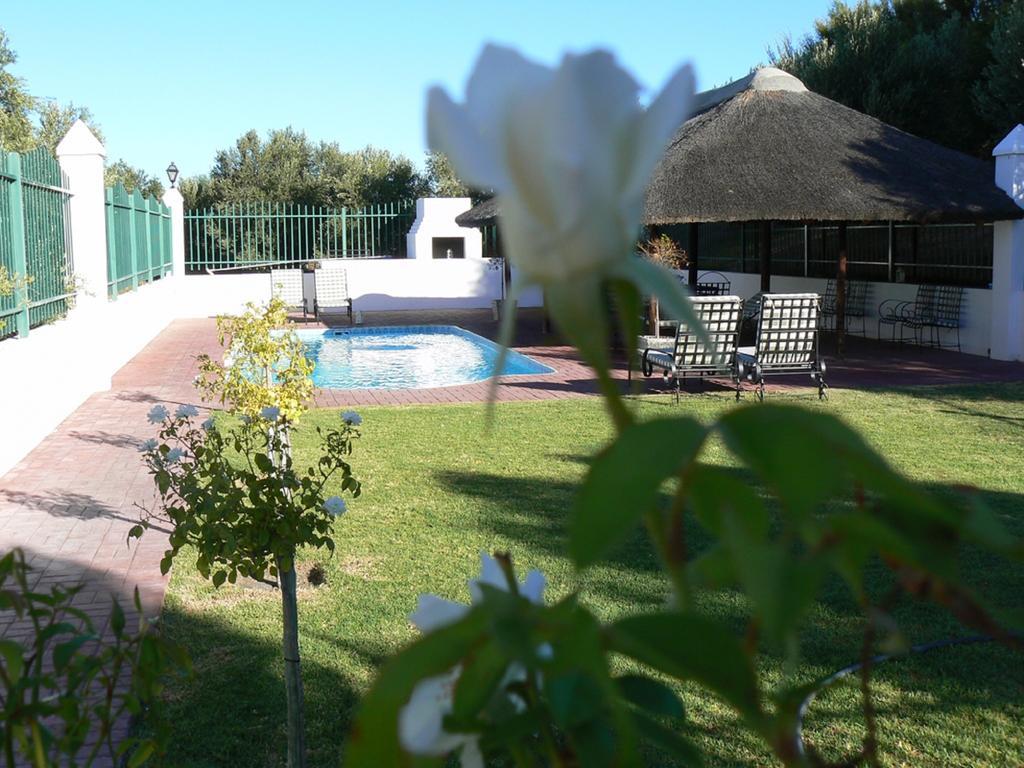 Villa Olive Grove Guest Farm à Beaufort West Chambre photo