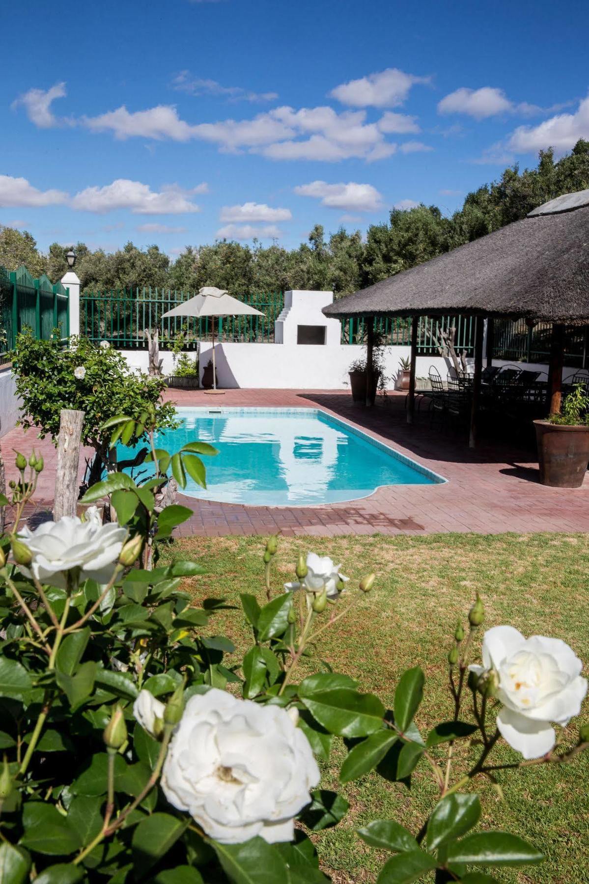 Villa Olive Grove Guest Farm à Beaufort West Extérieur photo